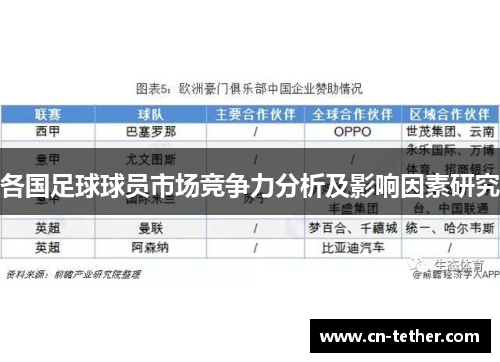 各国足球球员市场竞争力分析及影响因素研究